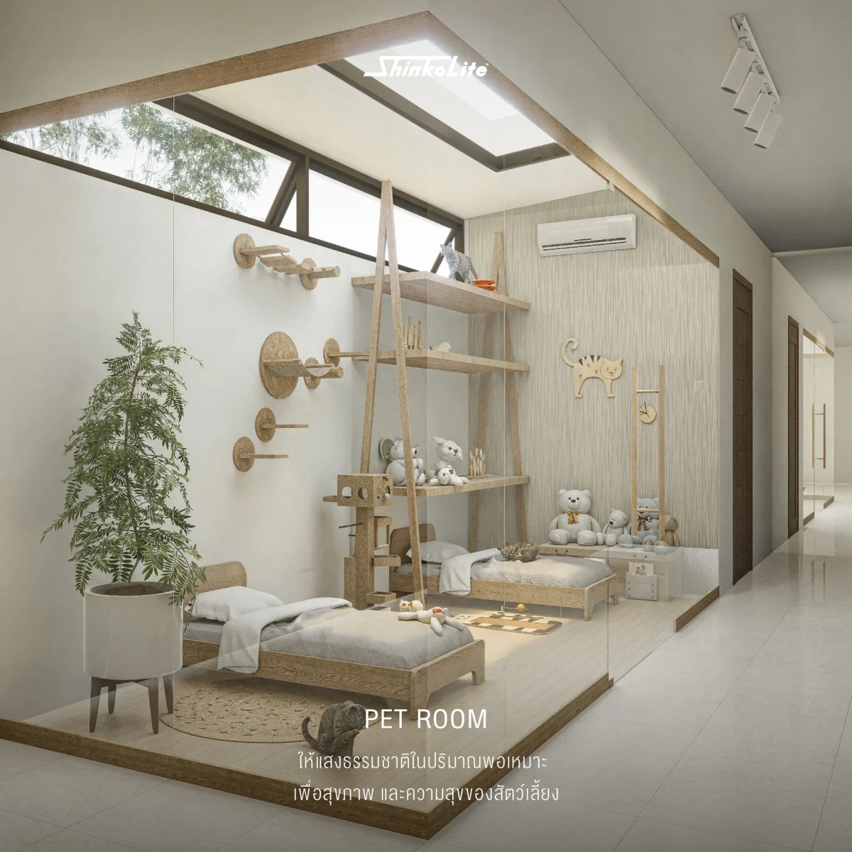 จุดเด่น shinkolite grand